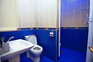 Отель Гостиница Аната Тбилиси Классический люкс-9